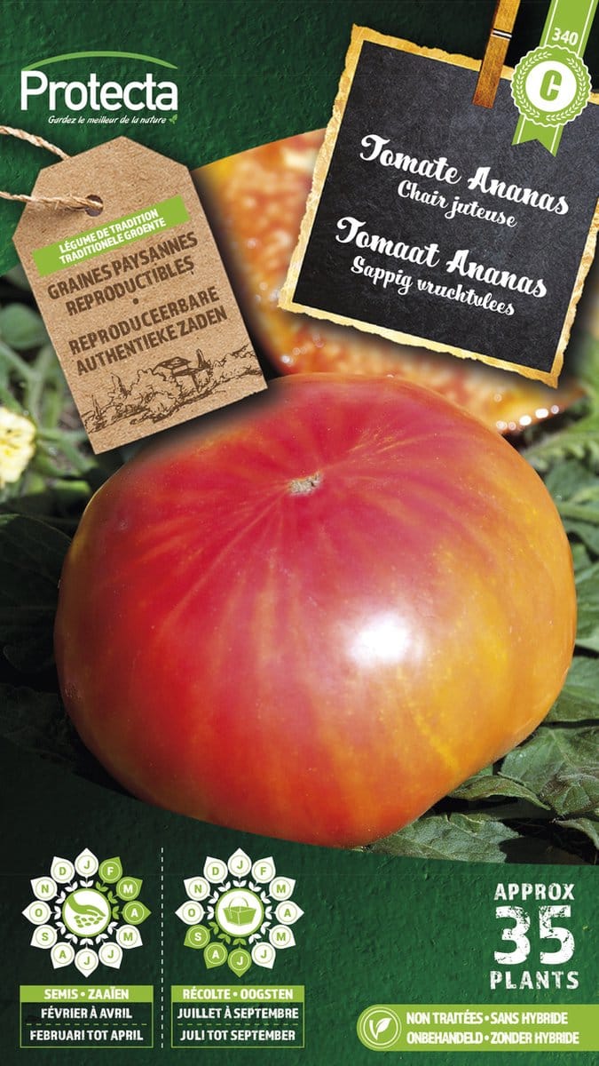 Protecta Groente zaden: Tomaat Ananas