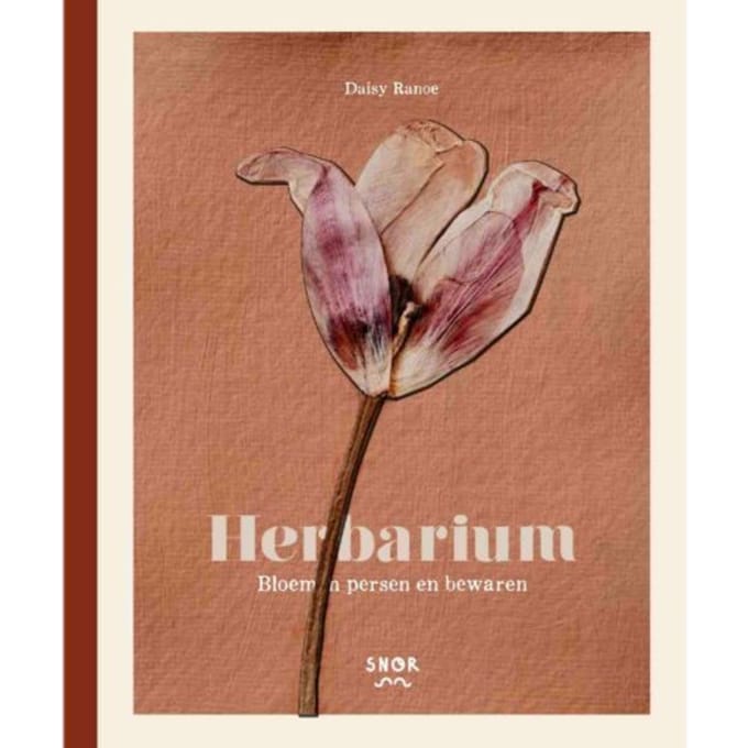 Herbarium - Daisy Ranoe