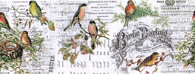 Idea-ology Collage paper - 15,24x15,24cm - yard aviary