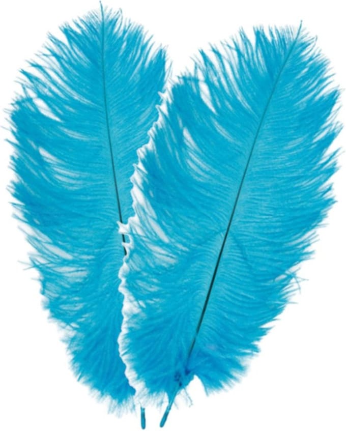 Chaks Struisvogelveren/sierveren - 2x - turquoise - 30-35 cm - decoratie/hobbymateriaal