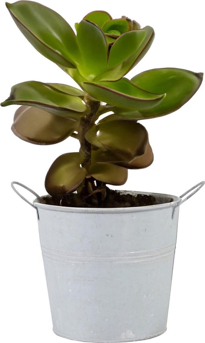 Mega Collections Plantenpot/bloempot - zink - whitewash - D18 x H16 cm