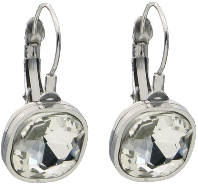 Oorbellen - RVS - kristal - 2,5 cm - wit