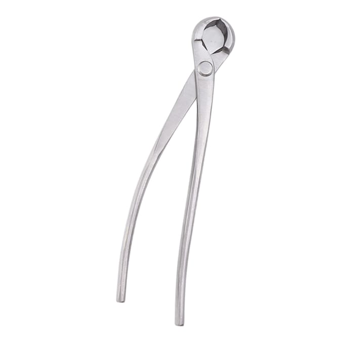 Pince Concave Alliage de Chrome Argent Bonsaï Pince Concave à Branches Durable Jardinage white