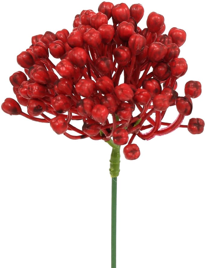 Hortensia knopsteker 22cm rood 12st