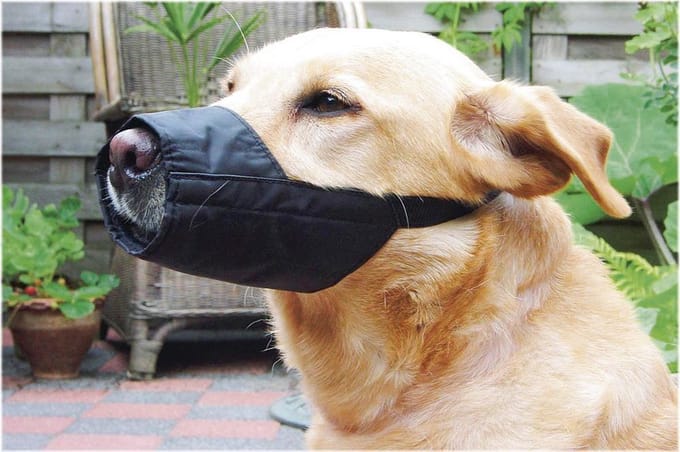 Beeztees Veiligheidsmuilband Hond L - 18,5 cm - Muilkorf - Nylon - Zwart
