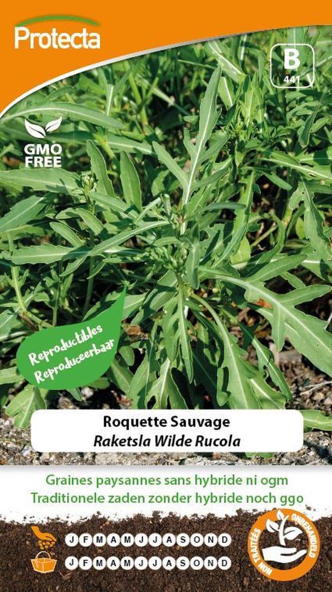 Protecta Groente zaden: Raketsla Wilde Rucola