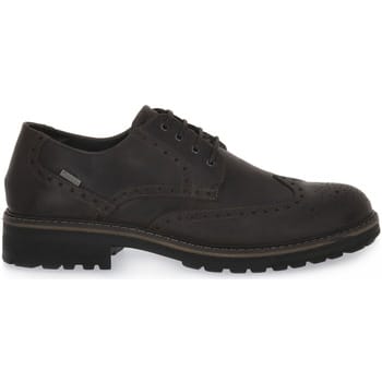 Sportschoenen IgI&amp;CO FREDDY CAFFE