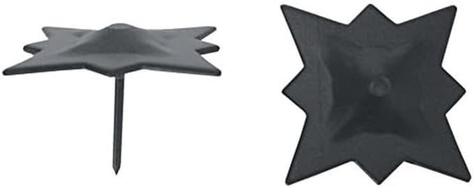 Sterrennagels IJzer 40x30 mm - Set van 10 Stuks - Smidwerk