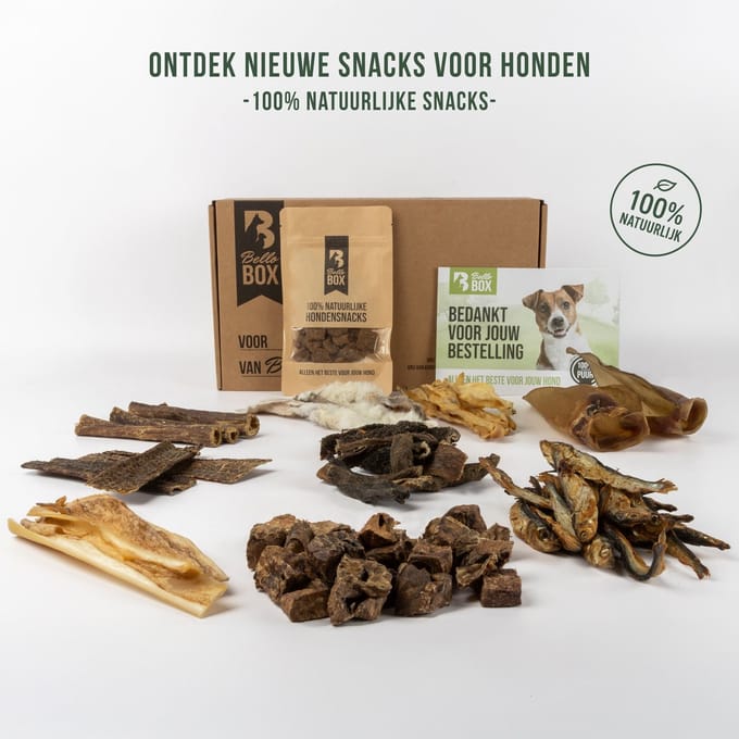 Hondensnacks Proeverij Box – 10 Verschillende Snacks | Bellobox