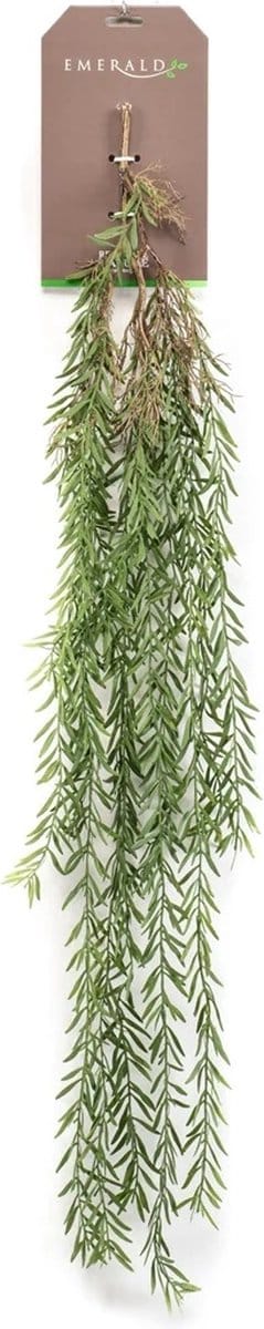 Hangplant - Mini leaf hanging bush green 120cm