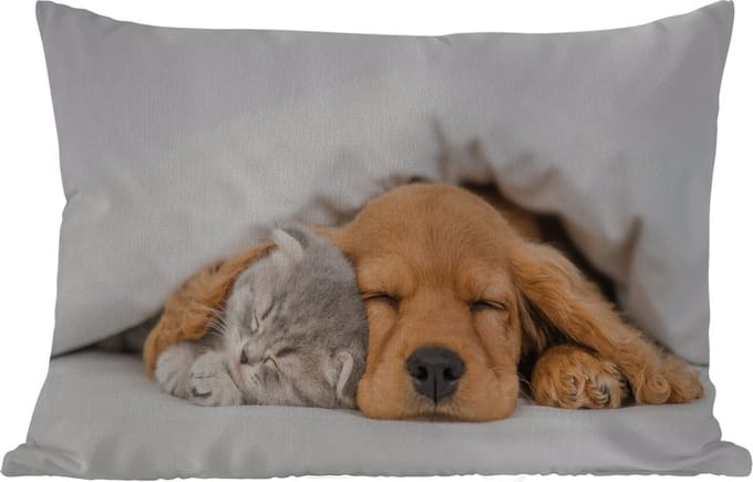 Buitenkussens - huisdieren - hond - Kat - Deken - 60x40 cm - Weerbestendig
