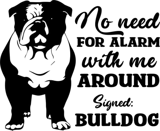Raam - auto - deur sticker no need for alarm - dog - hond -
