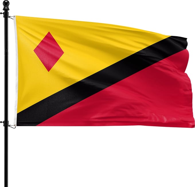 VlagDirect - Stein vlag - Gemeente Stein vlag - 90 x 150 cm.
