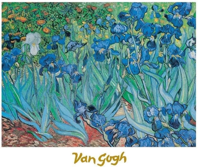Kunstdruk Vincent Van Gogh - Iris 30x24cm