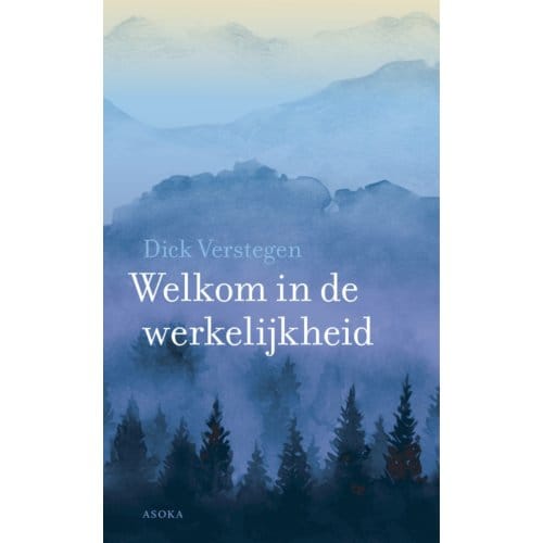 Welkom In De Werkelijkheid - Dick Verstegen