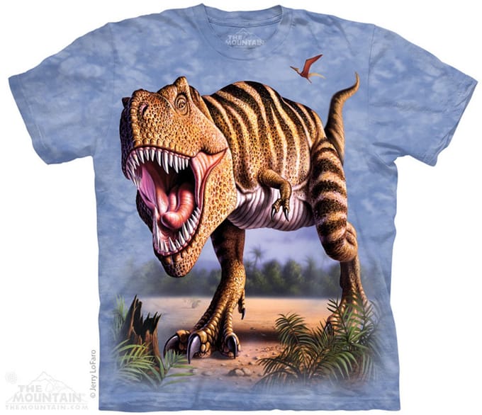 KIDS T-shirt Striped Rex M