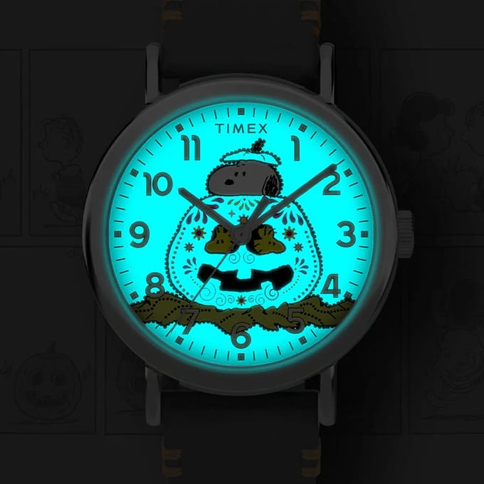 Timex Peanuts Weekender Pumpkin TW2Y12300 Horloge - Leer - Zwart - Ø 40 mm