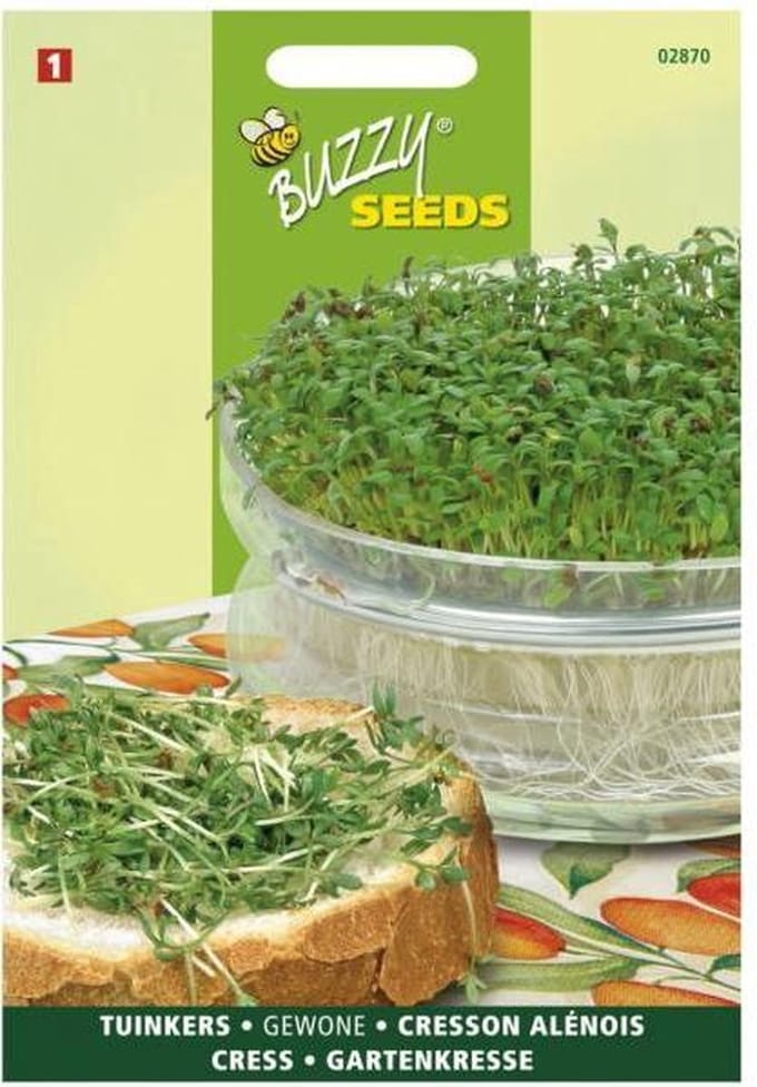 Tuinkers Gewone - Lepidium sativum - set van 10 stuks