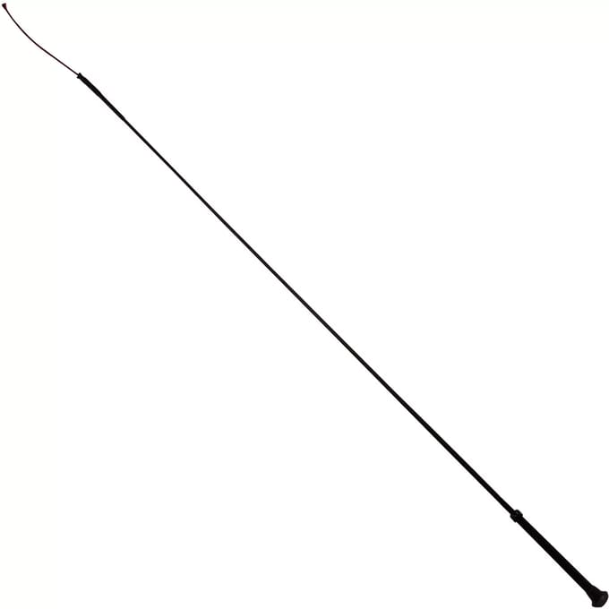 Dressuurzweep York DR