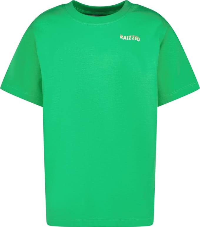 Raizzed jongens T-shirt Haw Irish fresh green Boxy