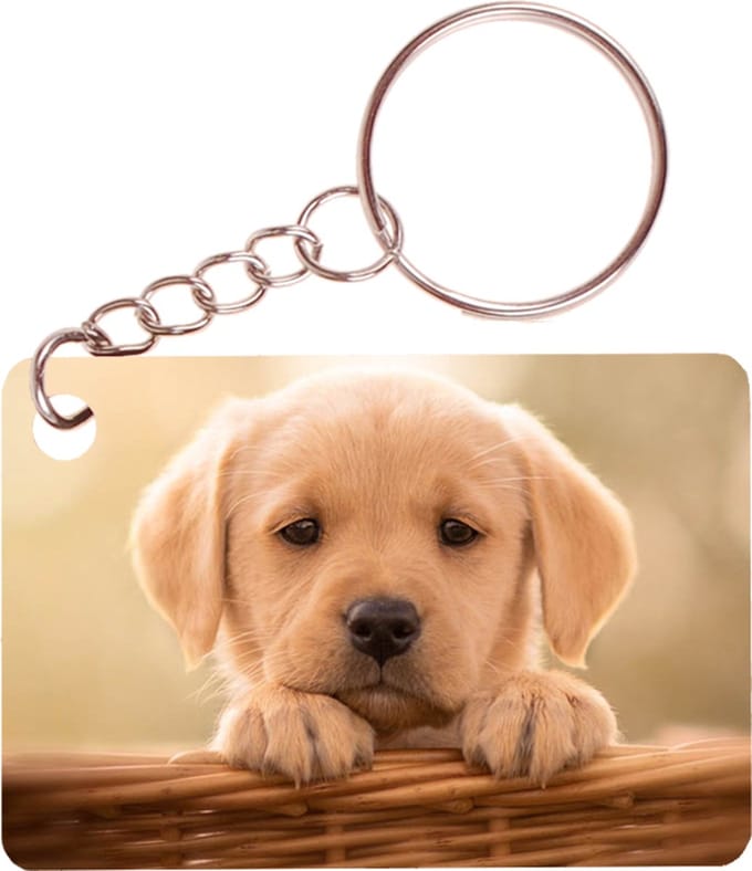 Sleutelhanger 6x4cm - Golden Retreiver Pup Mand