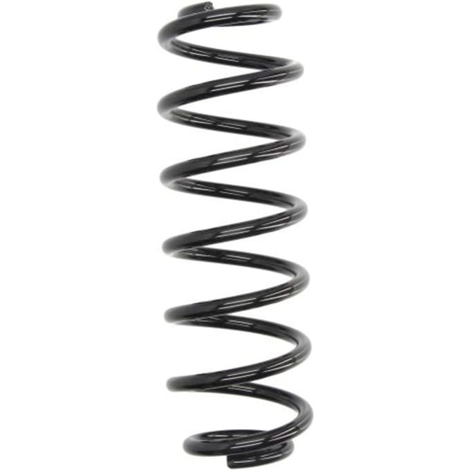 Chassisveer MAGNUM TECHNOLOGY SW138