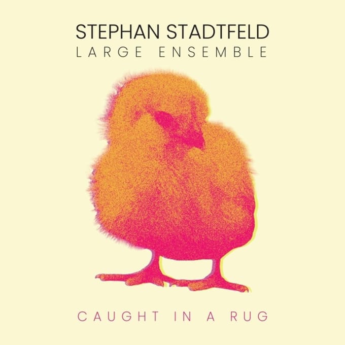 Stephan Stadtfeld Large Ensemble - Caught In A Rug