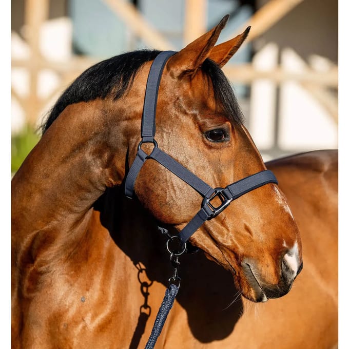 Halster en touwset voor paarden Horseware Amigo