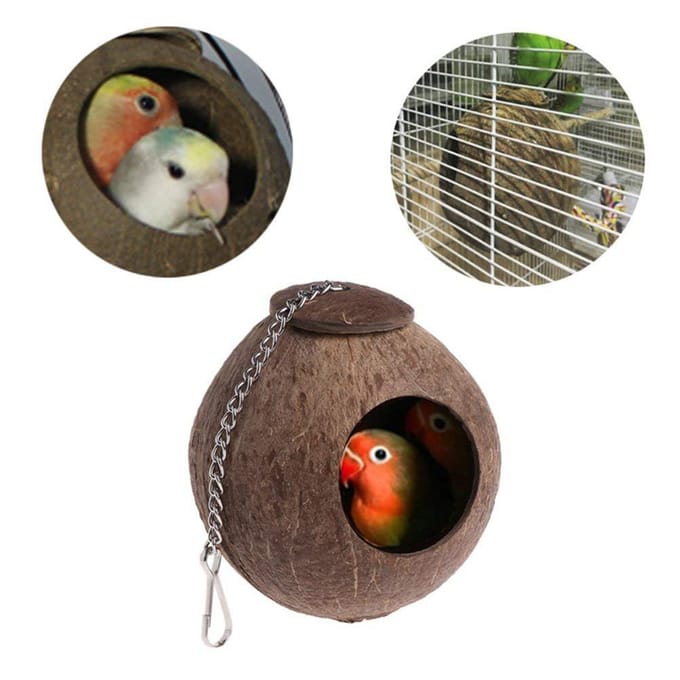 1 mangeoire à oiseaux en coquille de noix de coco naturelle avec trou de 6 cm beige