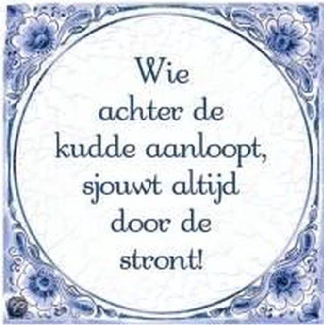 Tegels delfts blauw - Kudde