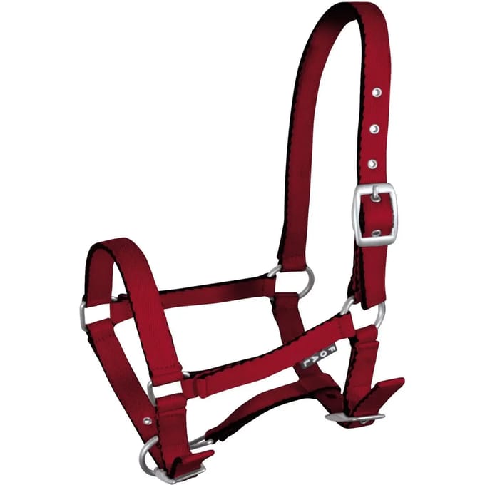 Halster voor paarden York Tobi