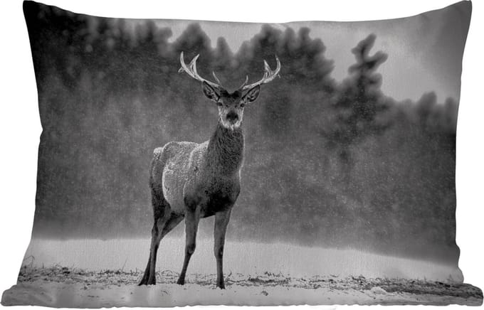 Buitenkussens - Dieren - Hert - Winter - Zwart - Wit - 60x40 cm - Weerbestendig