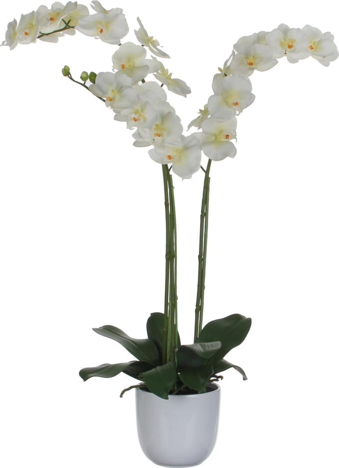 Mica Decorations Phalaenopsis Kunstplant in Bloempot Tusca - H100 x Ø53 cm - Wit
