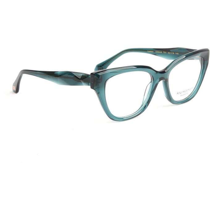 Ana Hickmann Optical Frame AH6546 T01 52