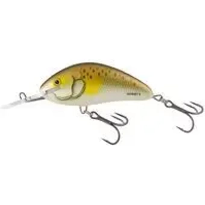 Lok Salmo Hornet