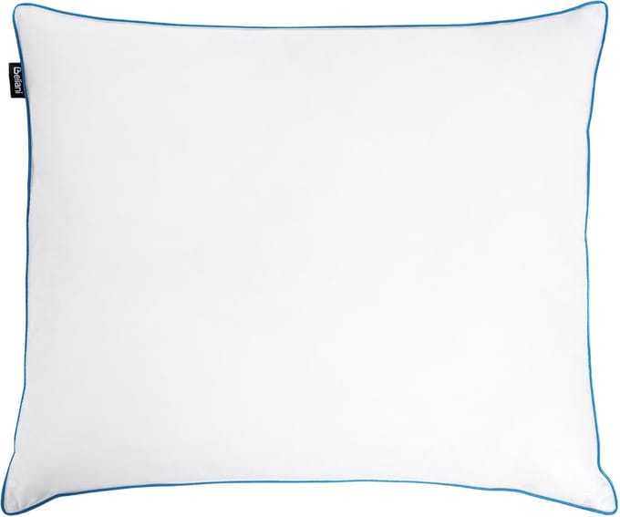 ANETO - Hoofdkussen 3 vakken - Wit - 80 x 80 cm - Laag - Eendenveren