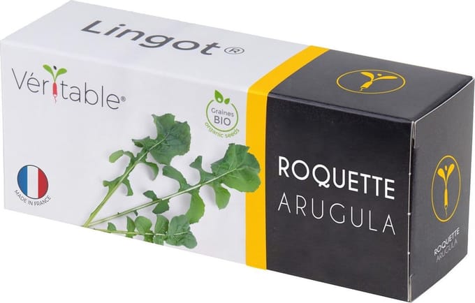 Veritable Lingot Arugola