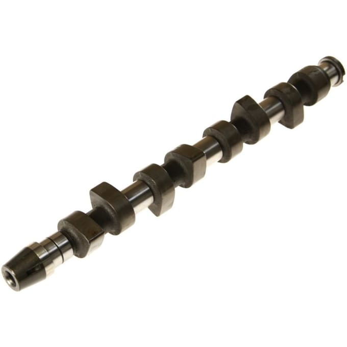 Nokkenas  AE CAM670