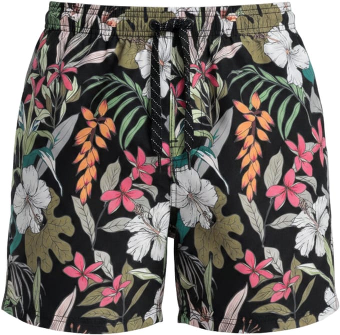 OMBRE Korte broek - Regular Fit - Short hibiscus L