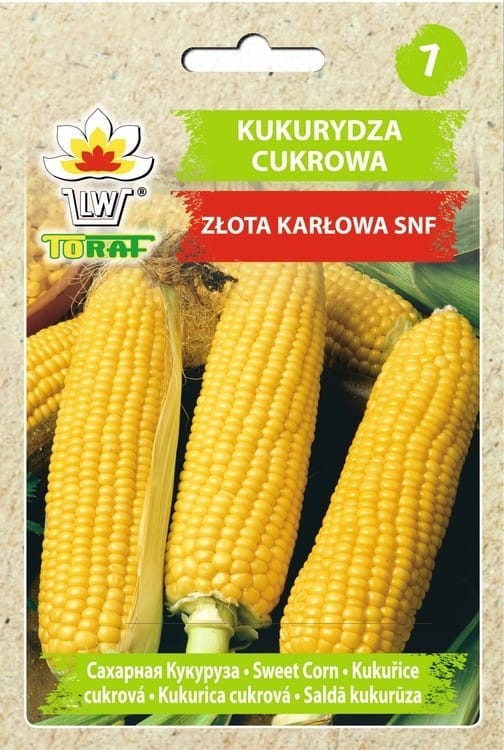 Golden Dwarf Sugar Corn, groentezaden voor de tuin, grote opbrengsten