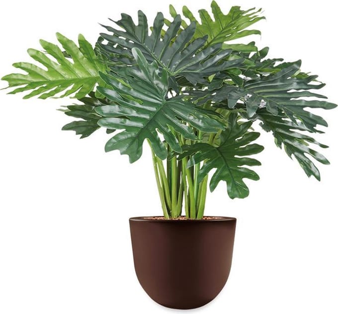 HTT - Kunstplant Philo Xanadu in Eggy bruin H65 cm