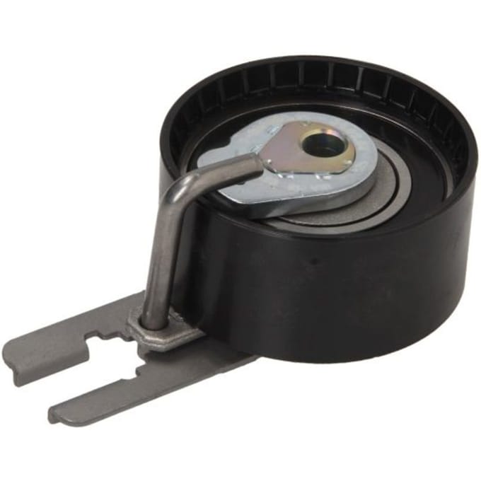 Schaeffler Ina Distributieriem spanner poelie INA 531 0555 10