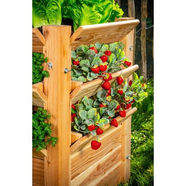 Westmann - WM102410 - Plantenbak - Bloembak - Tuin Hochbeed - 65 x 65 x 73 cm