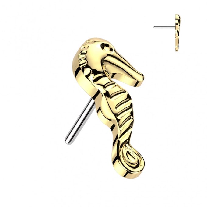 Piercing titanium zeepaardje push in 1.2x8 - goud - LMPiercings