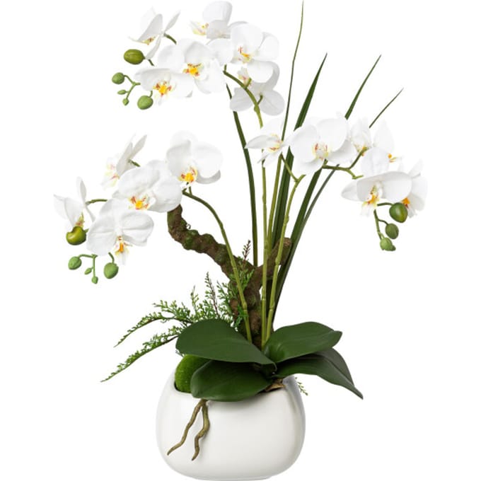 Kopu® Kunstbloem Orchidee 46 cm Wit met Bloempot - Phalaenopsis