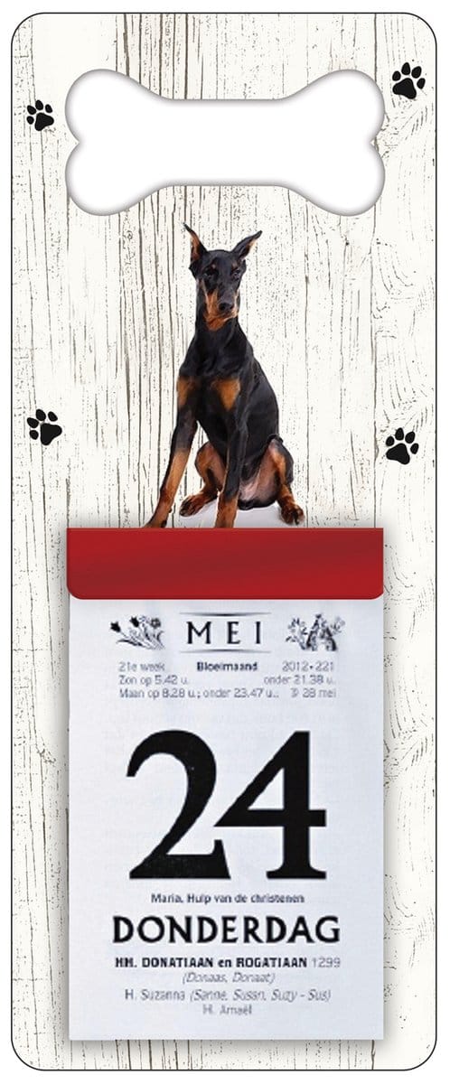 Scheurkalender 2027 Hond: Dobberman