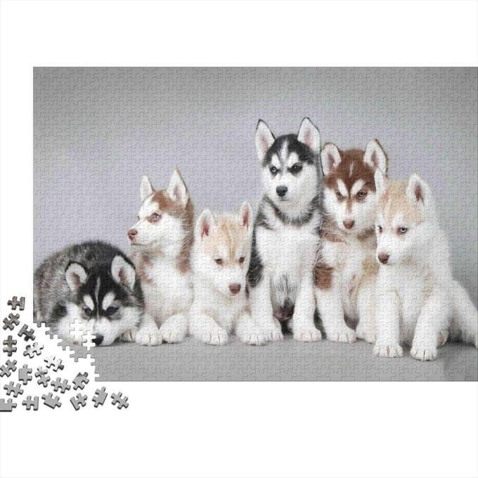 Legpuzzel Husky Puppy - Hond Puzzel - Ontspanning Thuis - 1000 Stukjes - 70 x 50 cm - Multi