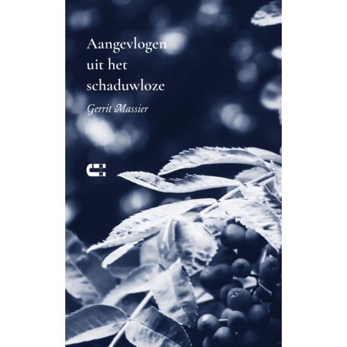 Aangevlogen Uit Het Schaduwloze - Gerrit Massier