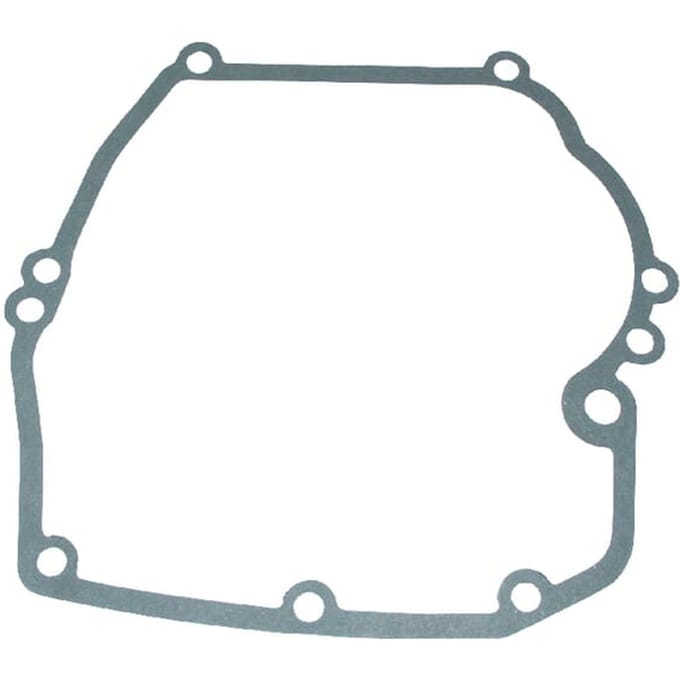 Briggs & stratton carterpakking (4182)