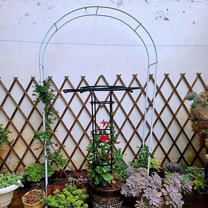 Rozenboog - Tuinboog - Planten Klimmen - Decoratief Element - 300 cm Hoog - Wit